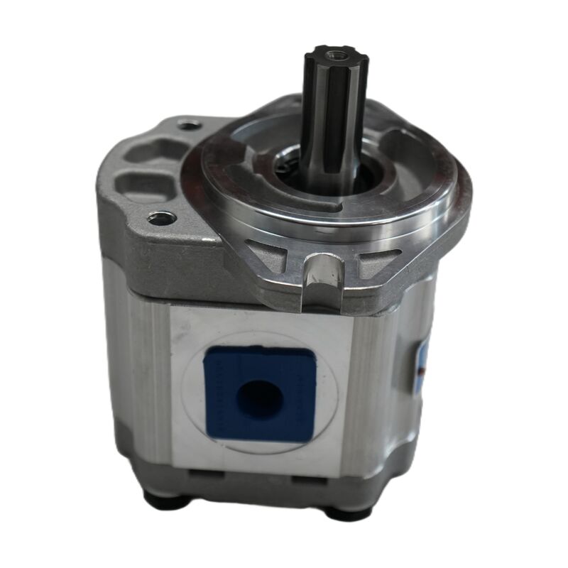 Changyuan Hydraulic Gear Oil Pump for Sanitation Vehicles, Dual-Function Oil Circuit Hydraulic Pump